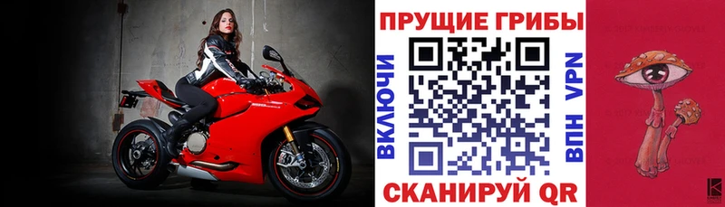 Галлюциногенные грибы Cubensis  Шилка 