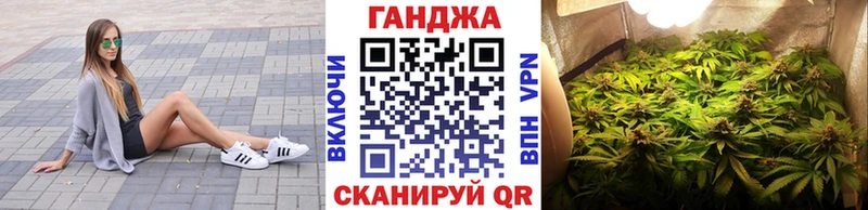 Бошки марихуана гибрид  блэк спрут маркетплейс  Шилка 